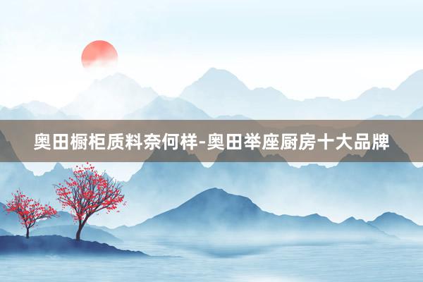 奥田橱柜质料奈何样-奥田举座厨房十大品牌