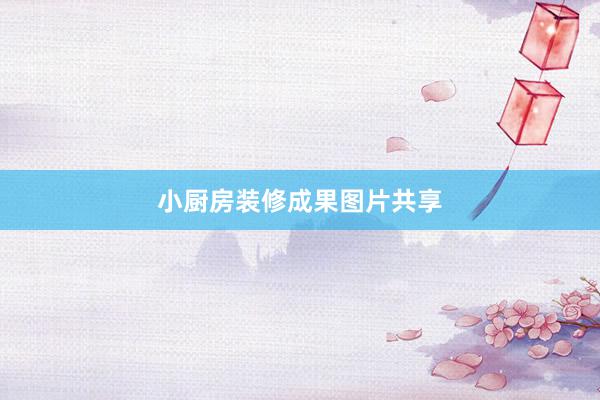 小厨房装修成果图片共享