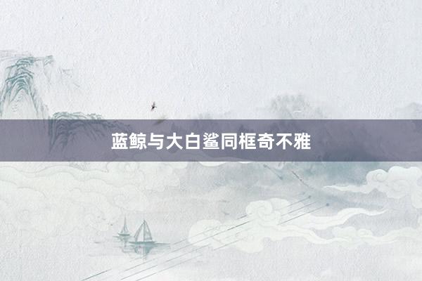 蓝鲸与大白鲨同框奇不雅